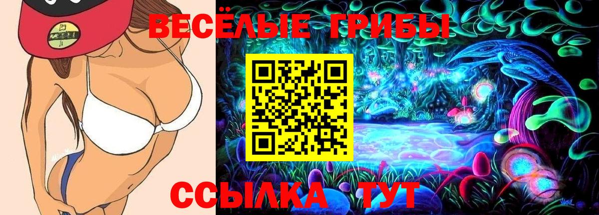 Псилоцибиновые грибы ЛСД Сатка